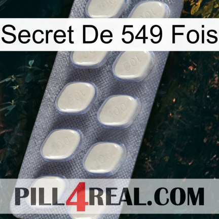 Secret Of 549 Times 08